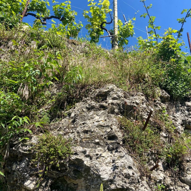 The Soil of the Prosecco Hills