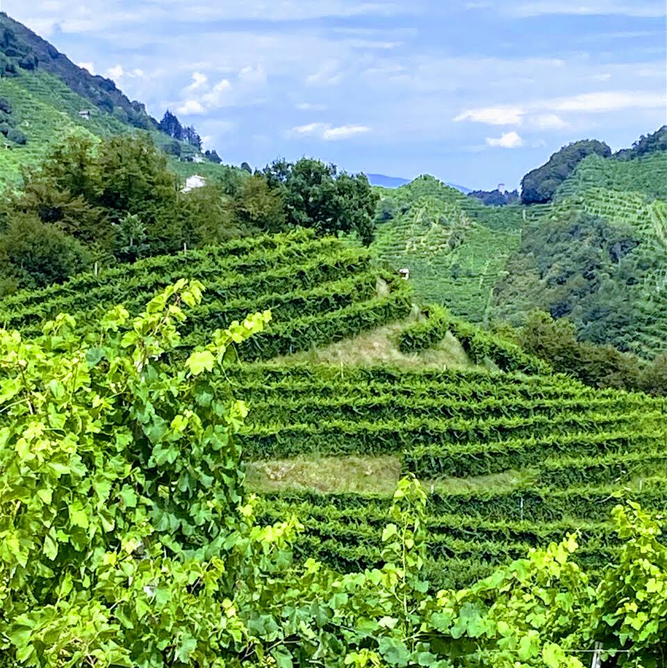 The Rive of Valdobbiadene