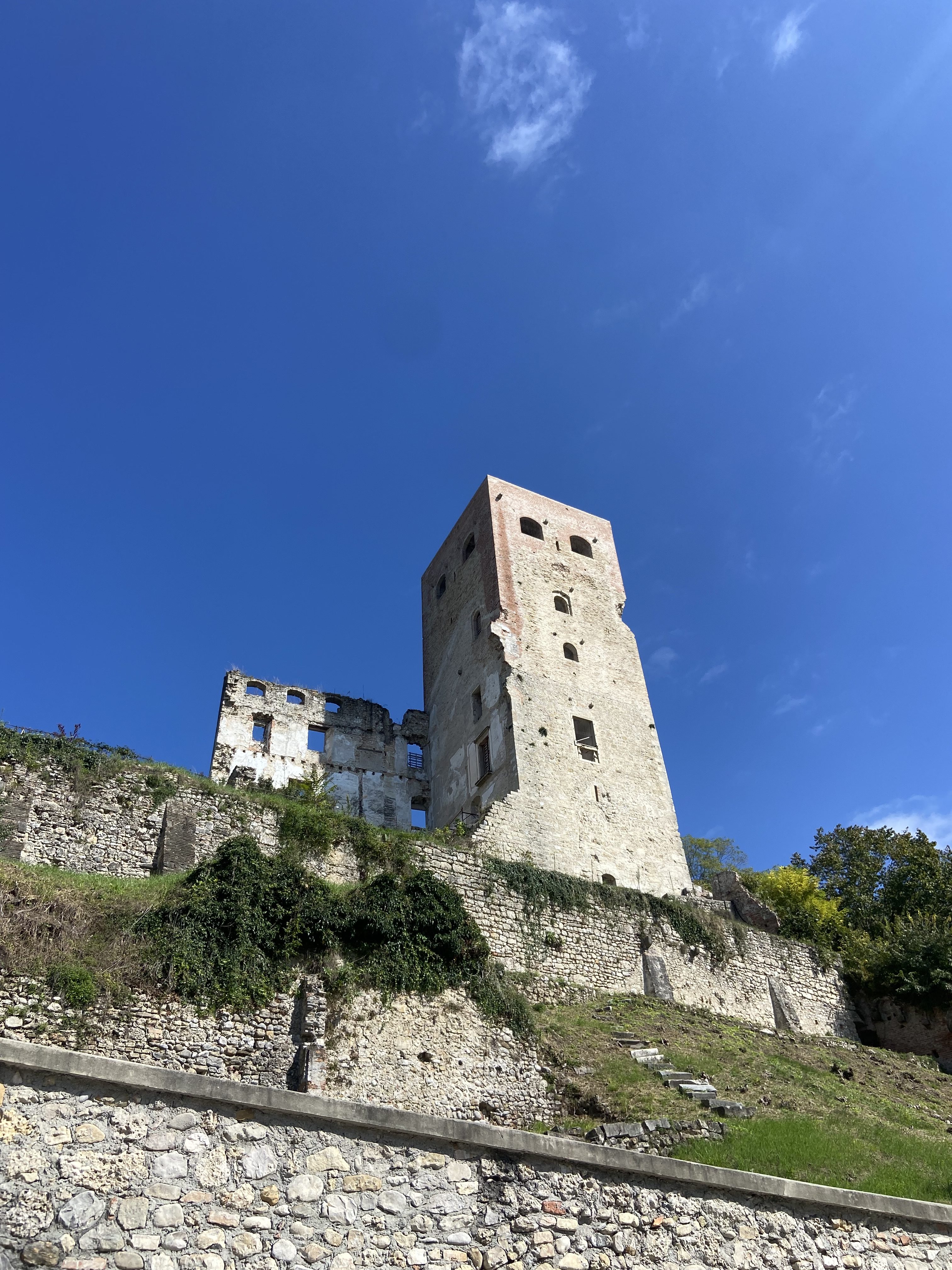 Pliny the Elder and the Ancient Roots of Wine in the Prosecco Hills