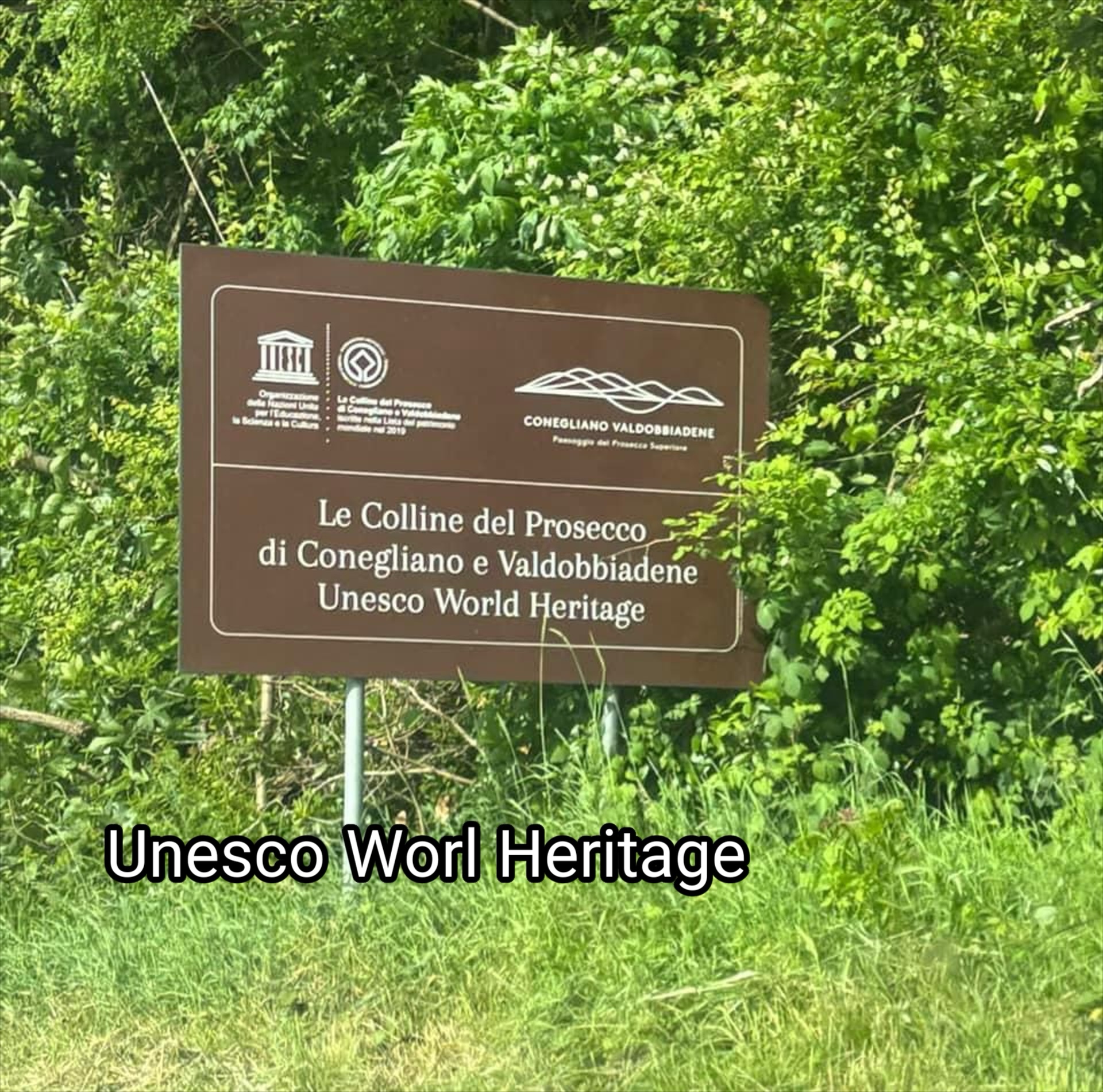 Why Walk the Prosecco Hills With Me: Private Tours With a Local Sommelier