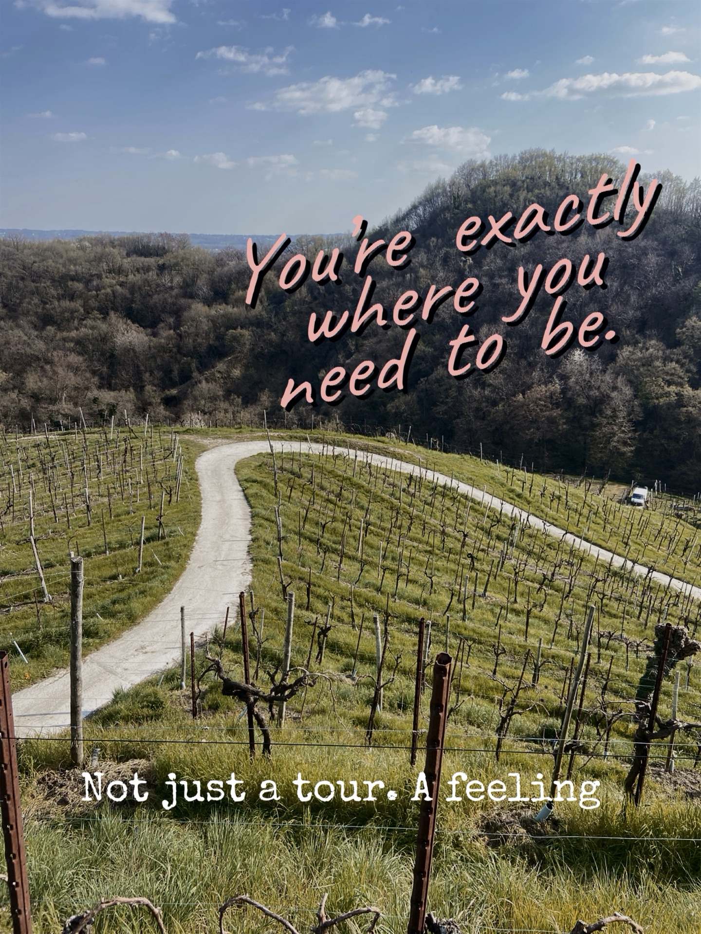 From Venice to the Prosecco Hills — A Perfect Day Trip with Ori Prosecco Driver