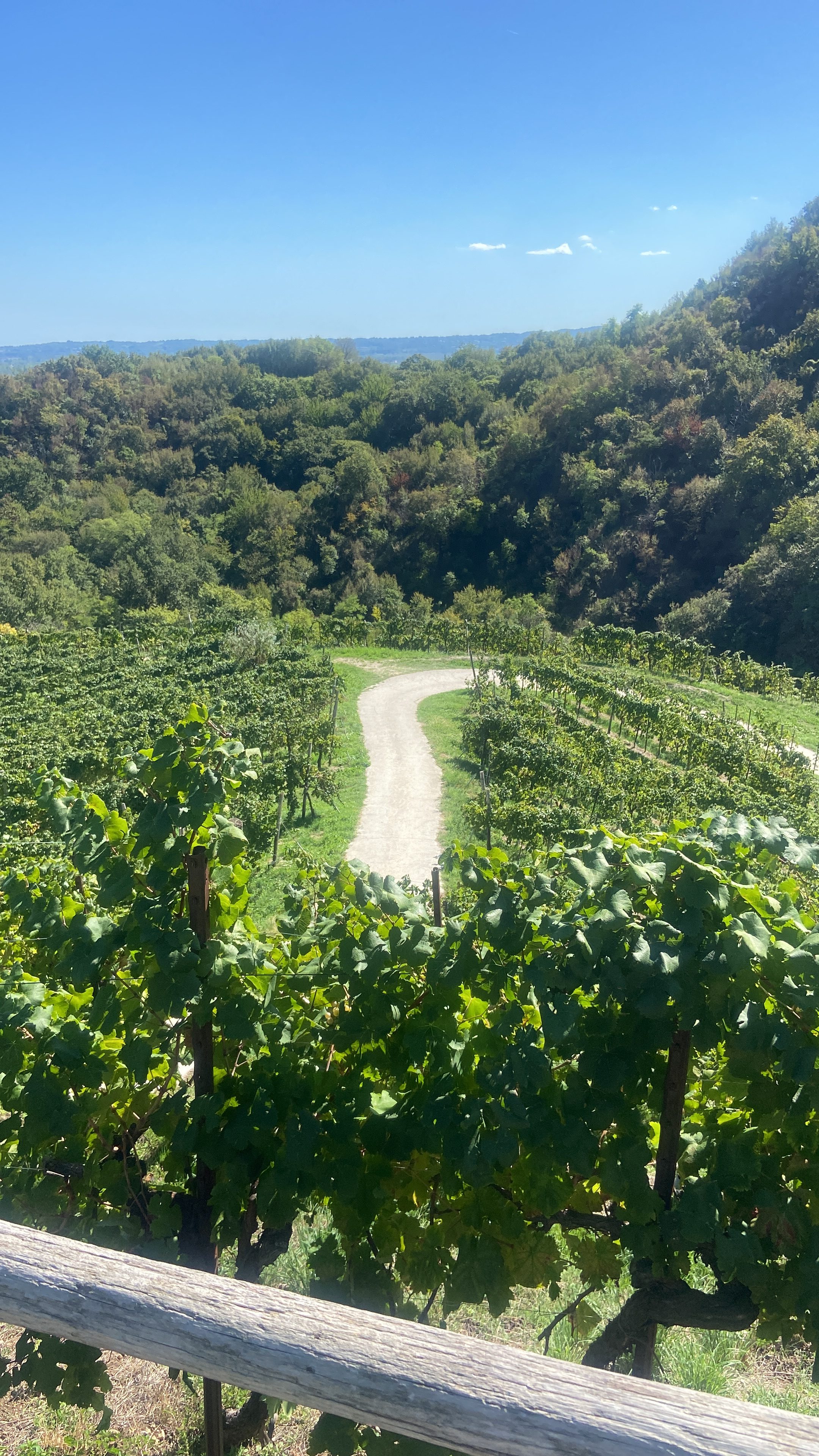 Veneto Named Top 25 by Lonely Planet 2027 | Private Prosecco Tours